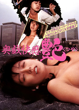 嬌生慣養(yǎng)4PH歸尋(矜以)小說免費閱讀