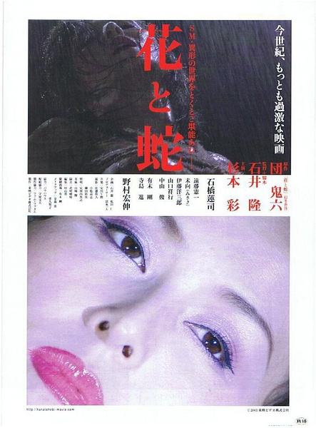 金瓶風(fēng)月