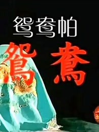 鴛鴦帕