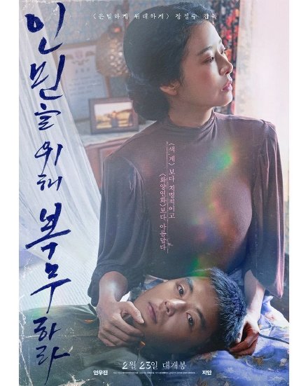 賴貓的獅子倒影電視劇免費(fèi)觀看