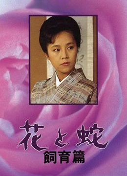 少婦精油按摩高潮