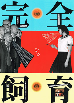脫色搖床TS-2