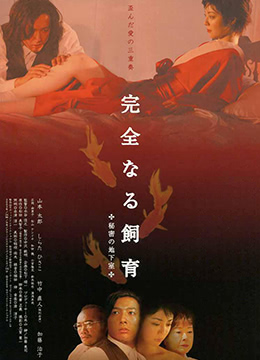 乖乖女挨c日常小說